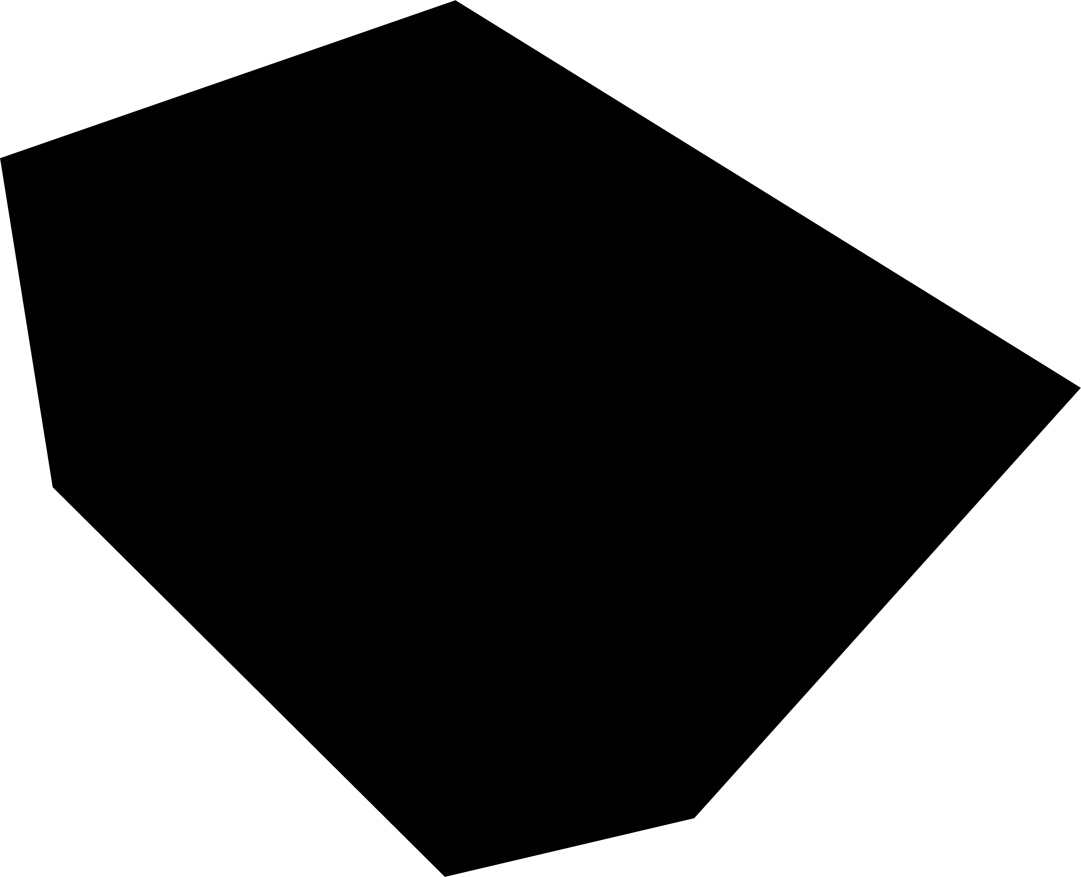 1_Poly_Black