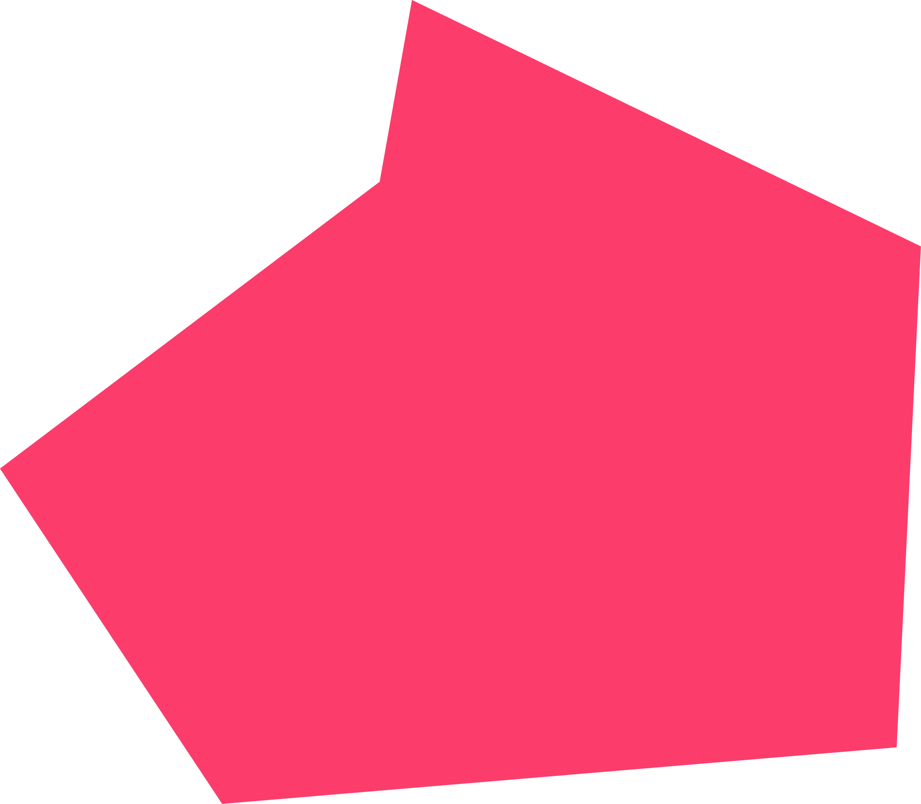 2_Poly_Fuchsia