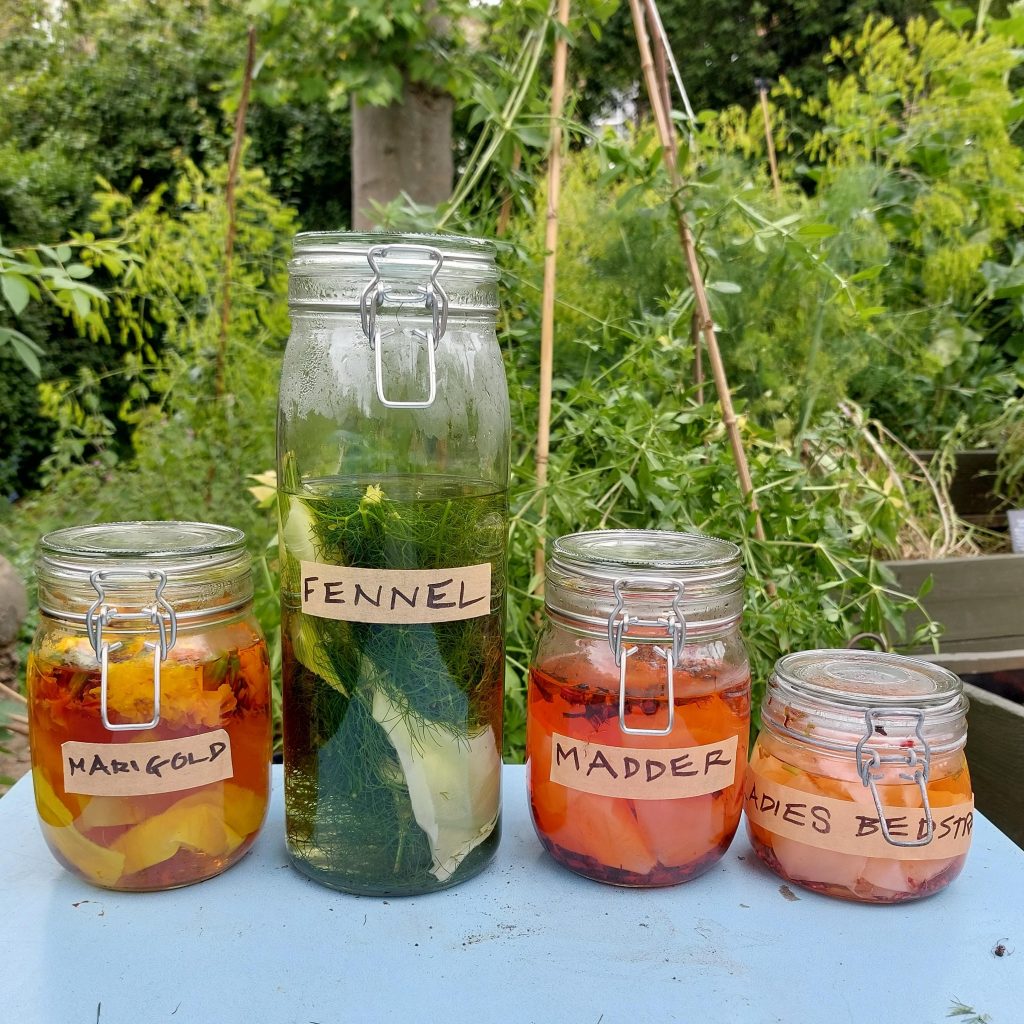 Jars of natural dyes